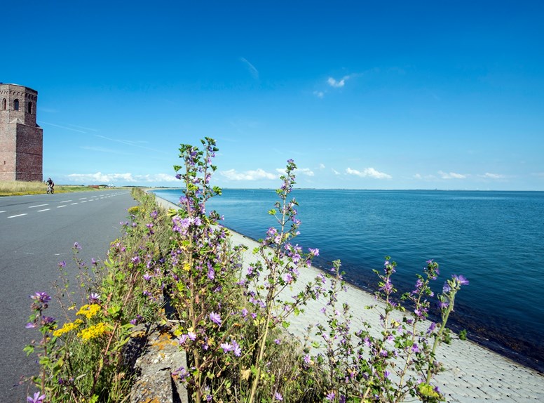 plompetoren zeeland