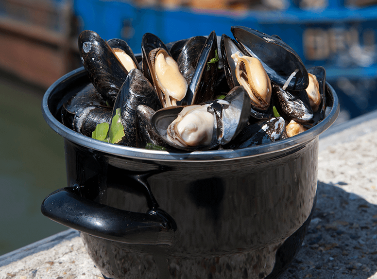 Heerlijke mossels eten vers uit de Zee zo op je bord, in Zeeland is dit een van de culinaire gerechten die onze provincie rijk is. 