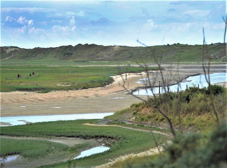 Naturschutzgebiet Zwin