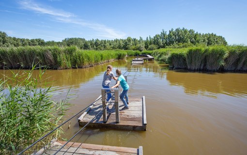 Trekvlot Zeeland natuur activiteit kinderen