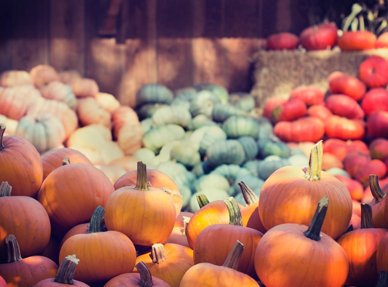 Van stoere brouwerijen tot indrukwekkende musea en skihallen. De 10 leukste herfstuitjes in Zeeland lees je hier!