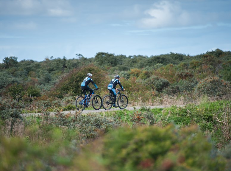 Mountainbiken in Zeeuws-Vlaanderen