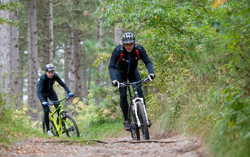 Westerschouwen mountainbike bos