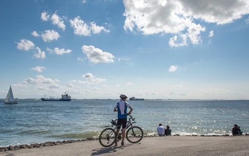 Zee mountainbike zon