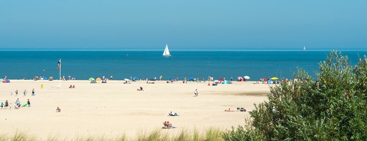 Zon zee strand zomer