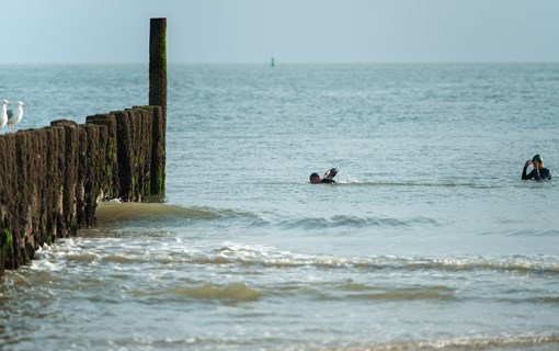 Zwemmers strand palen