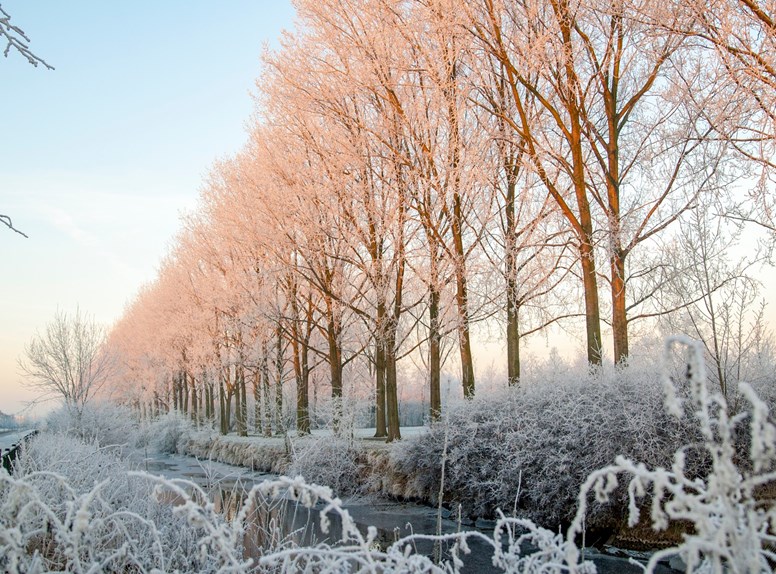 Winter in Zeeland is genieten. Tijdens je Kerstvakantie kan je in Zeeland genoeg doen. Denk aan een heerlijke strandwandeling om je vervolgens op te warmen aan het heerlijk kopjes choco in een strandtent. Of heerlijk shoppen in de prachtig versierde winkelstraten.