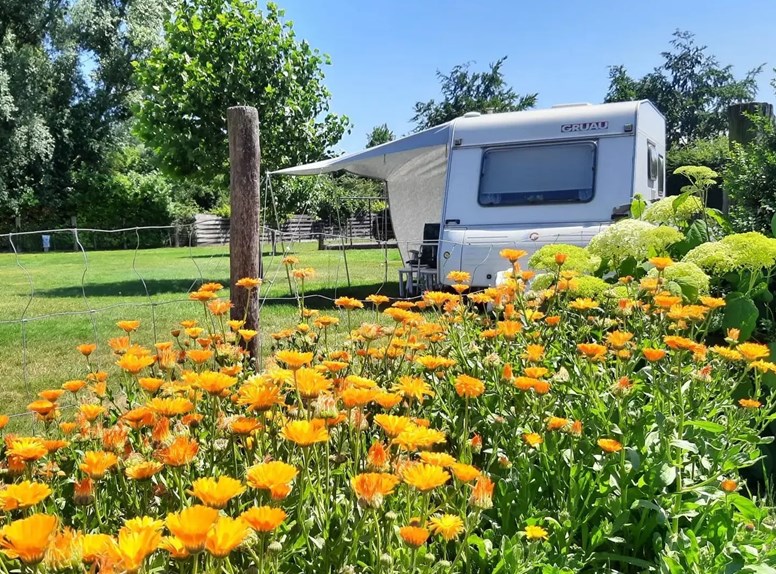 Boerderijcamping Het Poolse Kruis kampeerplek