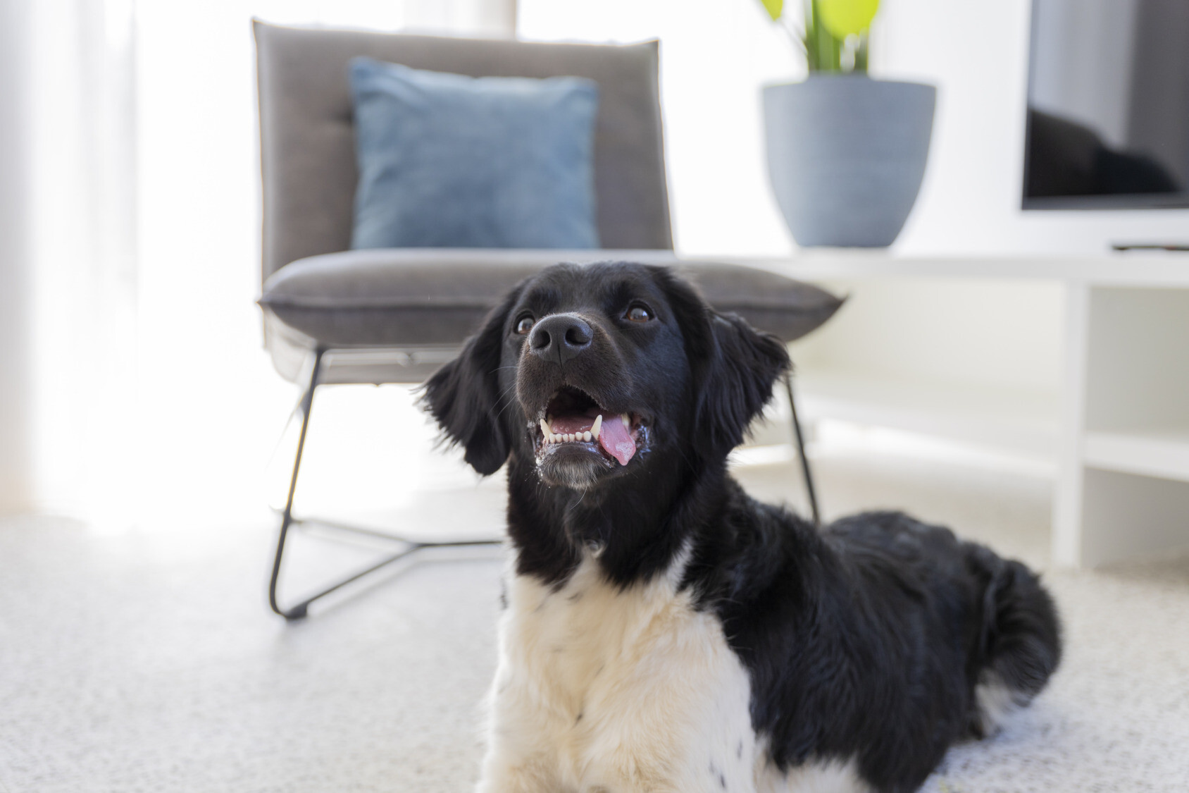 Dormio Resort Nieuwvliet-Bad