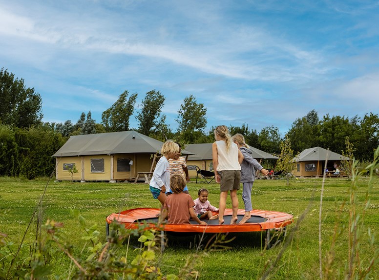 FarmCamps De Kamperhoek in Vogelwaarde