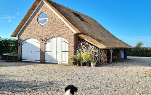 Op vakantie in Zeeland met hond bij de accommodatie van Liberte aan Zee