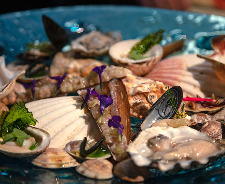 Dish De Krommewatergang