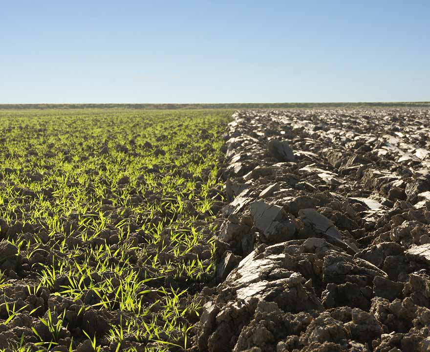 Klei landschap in de polder van de Gemeente Noord-Beveland
