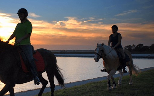 Paardrijden met zonsondergang