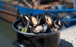 Een pan verse mosselen, zo uit de Oosterschelde gehaald. In Zeeland kan je culinair genieten van alle producten uit de zee.