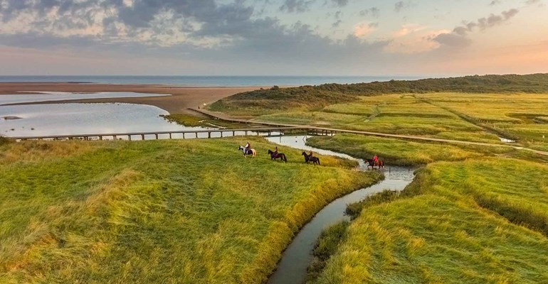 Aan natuur activiteiten is geen te kort in Zeeland. Wat te doen in de Zeeuwse natuur, je leest het hier!