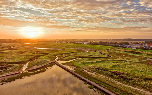 Natur in Zeeland