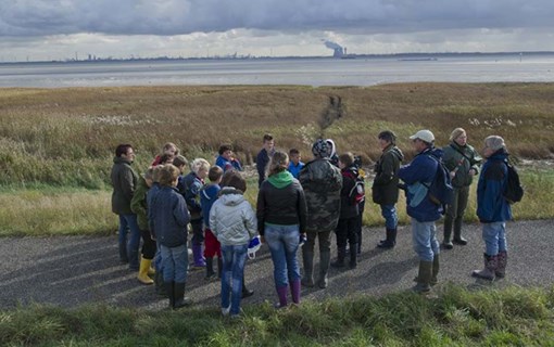 Natuur ontdekken met de IVN