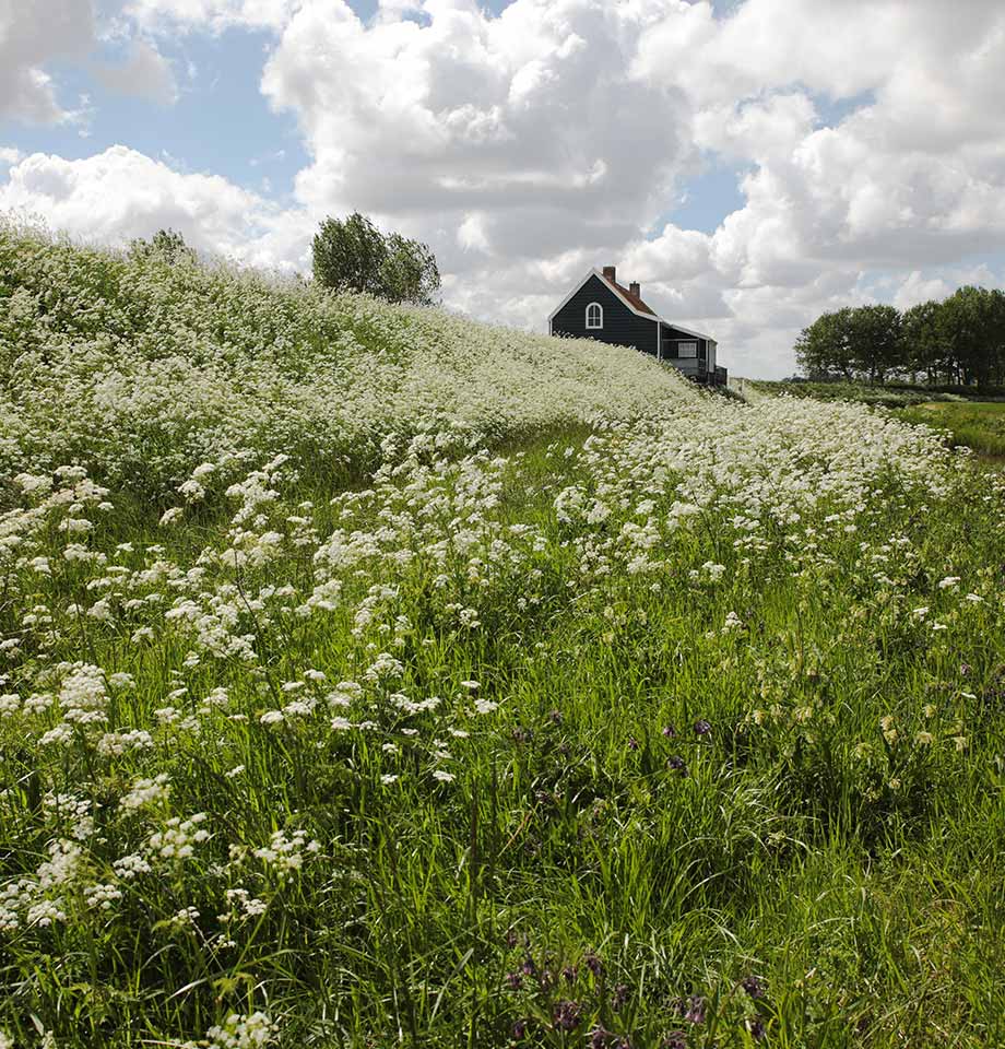 Landelijk gelegen wonen in Geersdijk