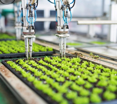Pionieren met robotica in de zorg in Zeeland