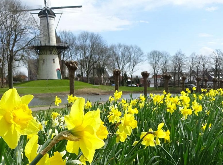 Deze mooie fietsroute gaat langs oude boerderijen op Tholen en Sint Philipsland.