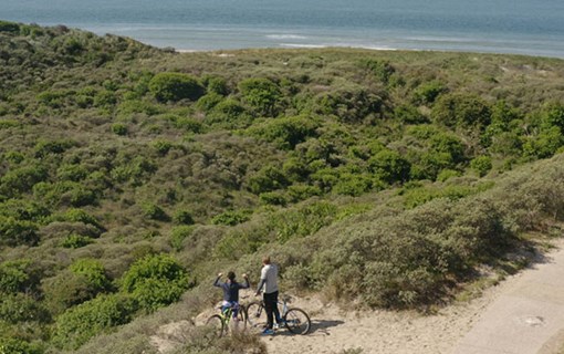 Twee mountainbikers bij Westerschouwen kijken uit op zee