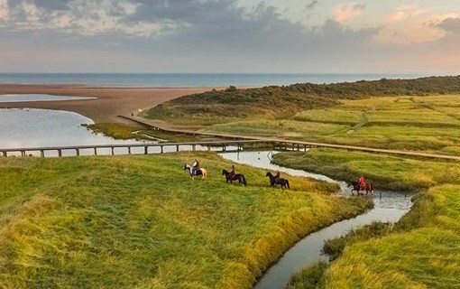 De Zeeuwse natuur ontdekken