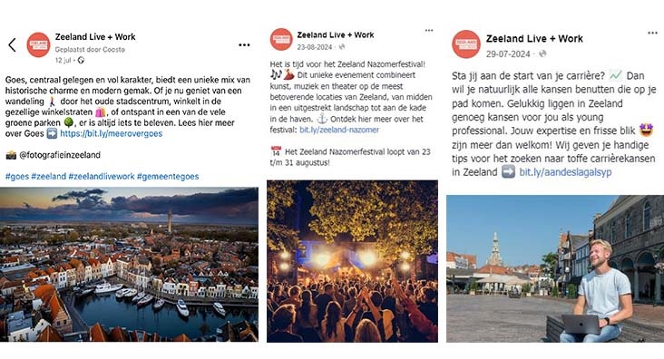 trendanalyse collage lw