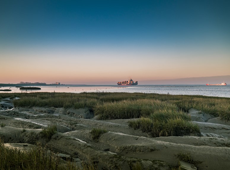 Grenspark Groot Saeftinghe Boot water landschap