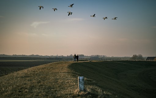 Grenspark Groot Saeftinghe wandern