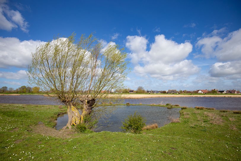 Naturschutzgebiet Het Groote Gat