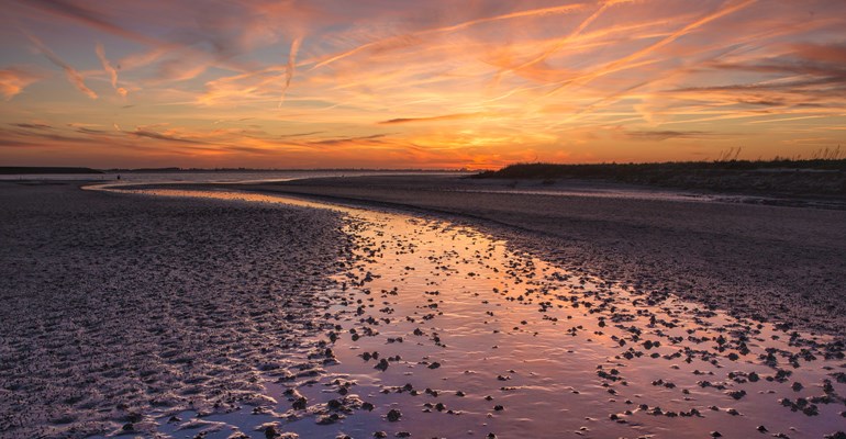 Zonsondergang in natuurgebied met op de achtergrond woningen in Zeeland.